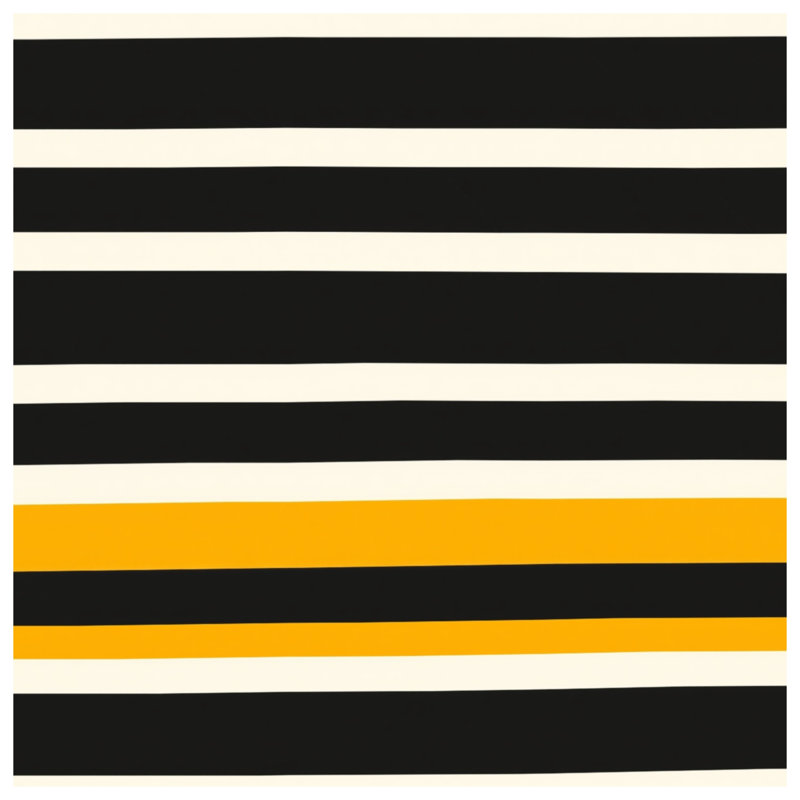 Couvertures à rayures noires, L 50 po x H 60 po