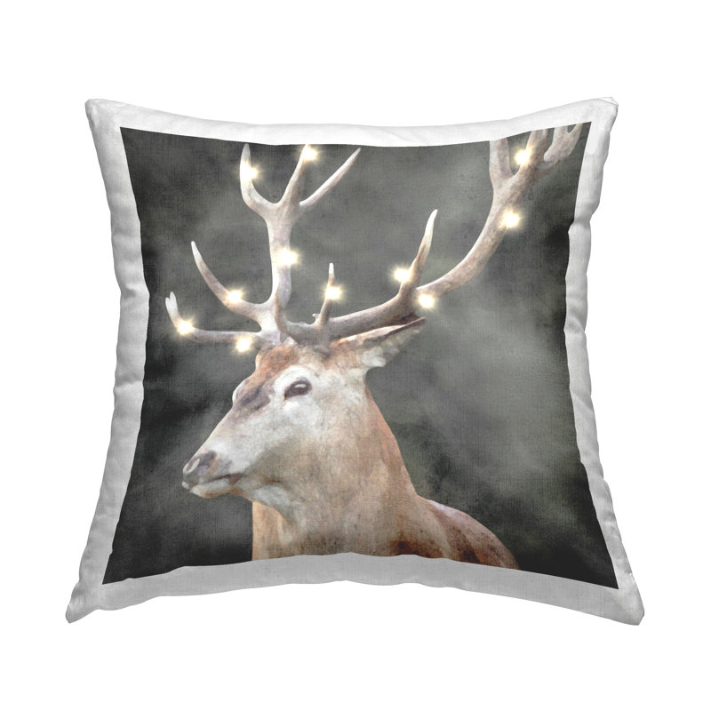  Throw Pillow