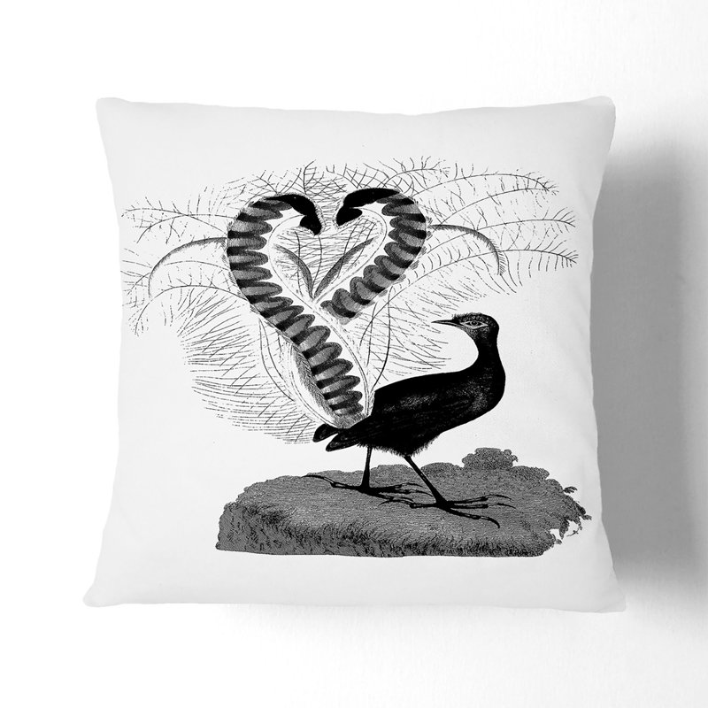 Lyrebird Illustration Cushion with Filling, 40cm H x 40cm W x 15cm D, Black