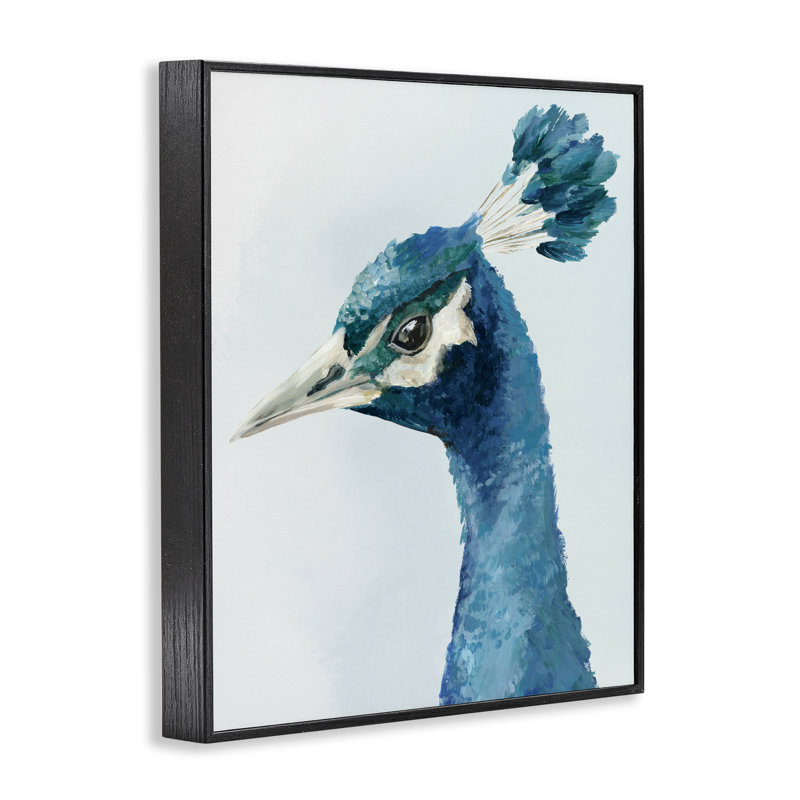 Giclée encadrée de plumes vives, par Hannah Dawson, H 14 po x l 11 po, Giclée encadrée noir minuit