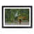 Black Framed