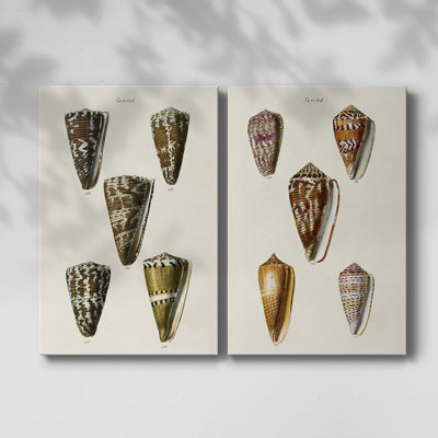 Toile tendue avec châssis V-Premium de la collection Cone Shell