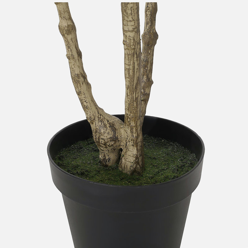 ARBRE À PIERIS 240CMTIFTIFS, H 94,5 po x l 47 po