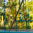 Metal 10 Ft Swing Set