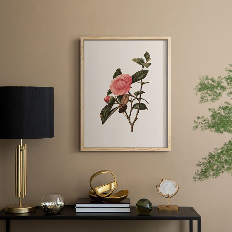 Impression florale vintage encadrée CLXII - bois massif, Naturel, H 21 po x l 17 po