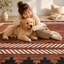 Tapis moderne lavable uni pour le vestibule, la chambre à coucher et le salon-129741499-129913346