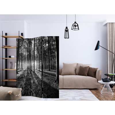 Cameron 172cm H Folding Room Divider