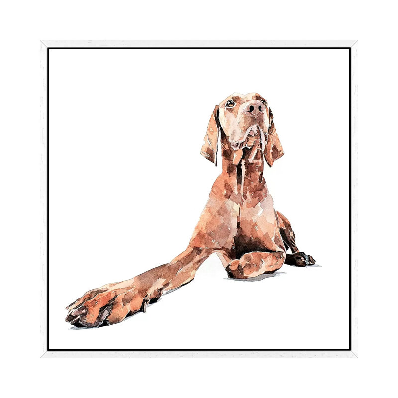 Vizsla Regal - Painting on Canvas, White Framed, 45.72 cm H x 45.72 cm W