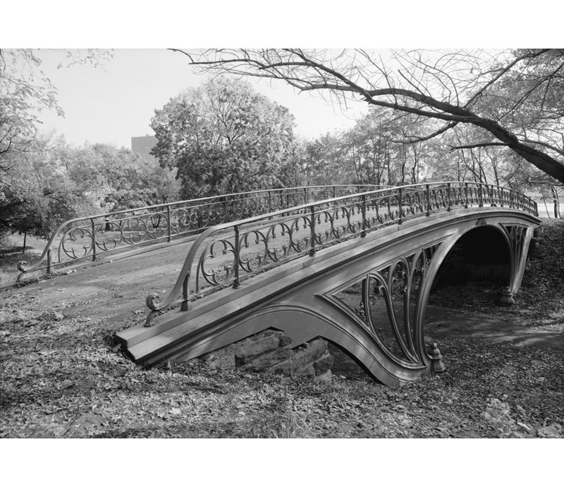 Pont Cetral Park, New York, H 17 po x l 24 po
