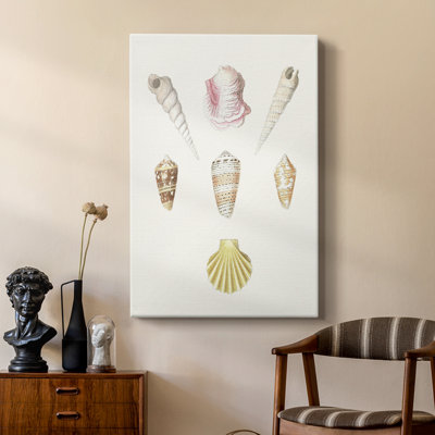 Pastel Knorr Shells I - galerie Cavas tendue sur mesure