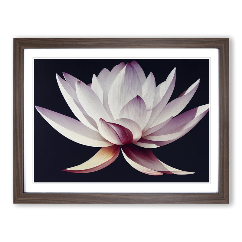 Uplifting Lotus Flower - Framed Print, 34cm H x 46cm W x 2cm D, Walnut