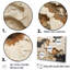 Ensemble de décoration murale beige et brun «African River Collage»-111764865-112015087