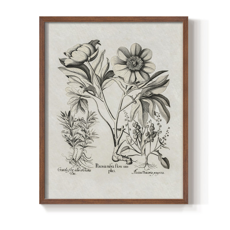 "Impression florale rétro CC-XXIX" sur papier, Noyer, H 10 po x l 8 po