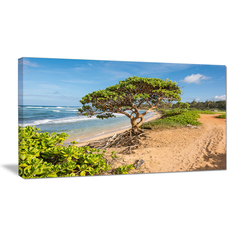«Green Tree on Beach in Kauai Hawaii», reproduction de photo sur toile tendue, H 16 po x l 32 po x P 1 po