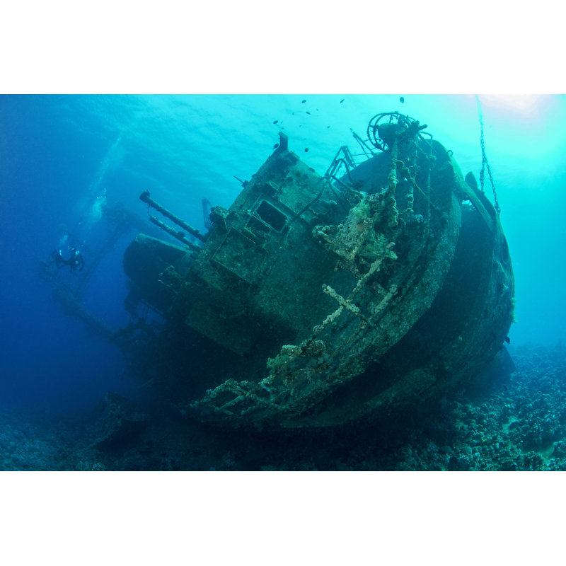 Cedar Pride Wreck 1 Piece Wrapped Canvas Wall Art, 51cm H x 76cm W x 3.8cm D