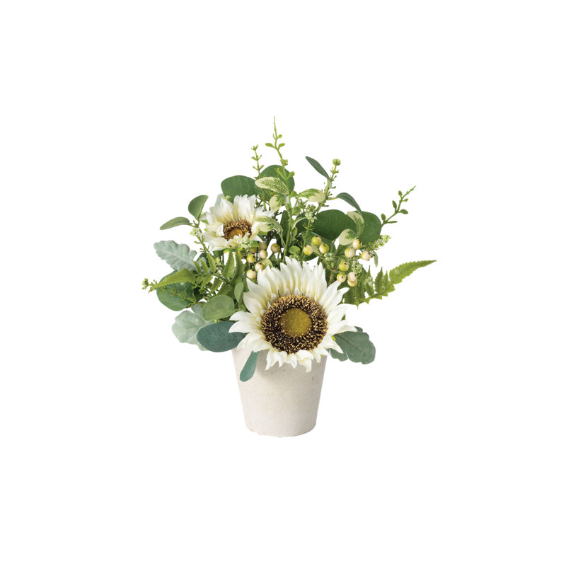 Arrangement floral mélangé en pot