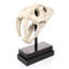 Saber-Toothed Tiger Skull Artifact Figurine