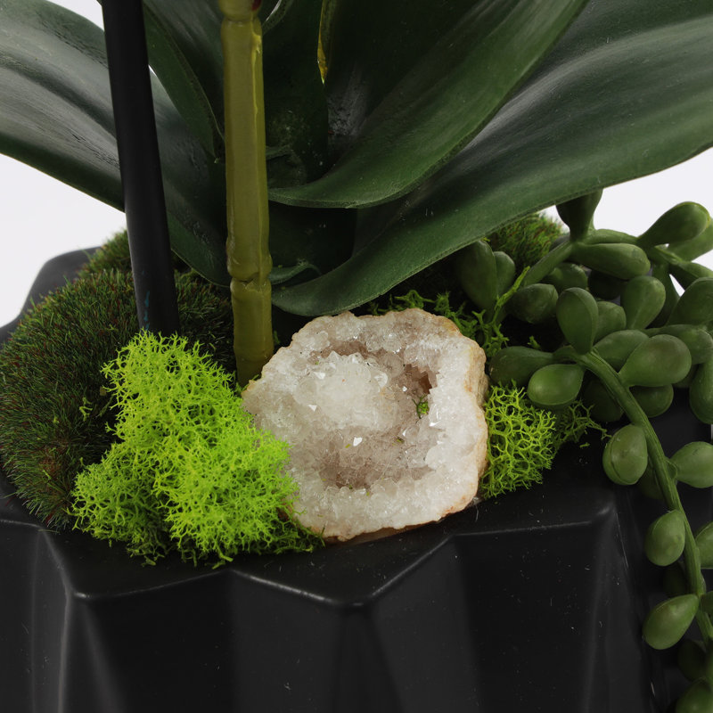 Orchid Floral Arrangement in Pot