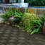 Carreaux de terrasse en bois d'acacia
