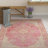 Allerone Oriental Pink Area Rug