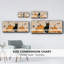 «Pumpkin Patch Cats Collection D», toile encadrée-957029517
