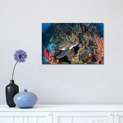 «Coral Garden And Green Turtle» par Barathieu Gabriel - photographie sur toile tendue