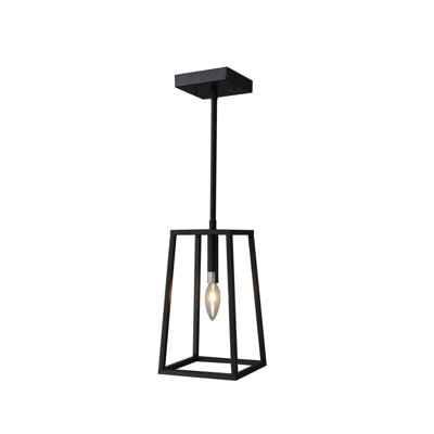 1 - Light Matte Black Caged Pendant