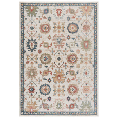Cameron 606 Performance Oriental Rug