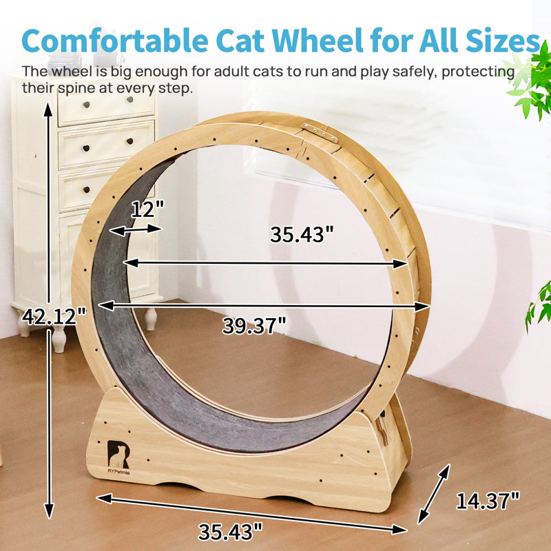 Roue de 39 po pour grand chat, Naturel
