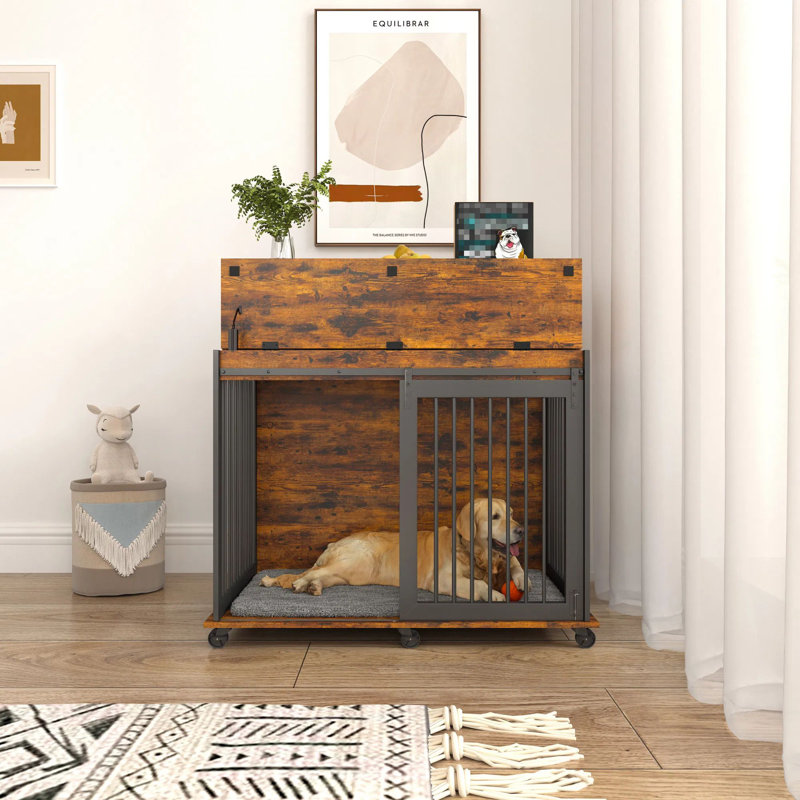 Cat Cage