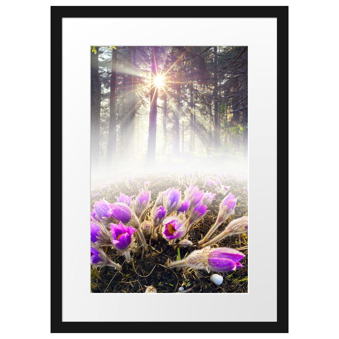 Gerahmtes Poster Lila Blumen im Wald