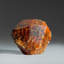 Spessartine Garnet Crystal from Loliondo, Arusha, Tanzania