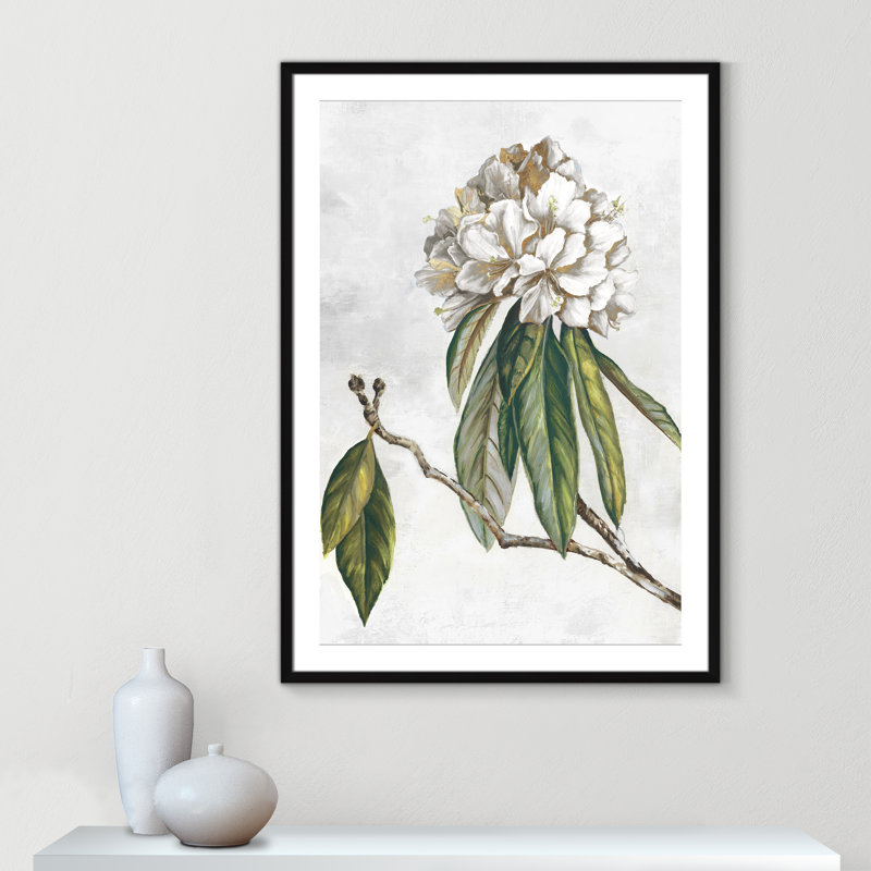 «Pearly Beauty II» par Eva Watts, L 29,5 po x H 41,5 po, Imprimé mat, Satin Black