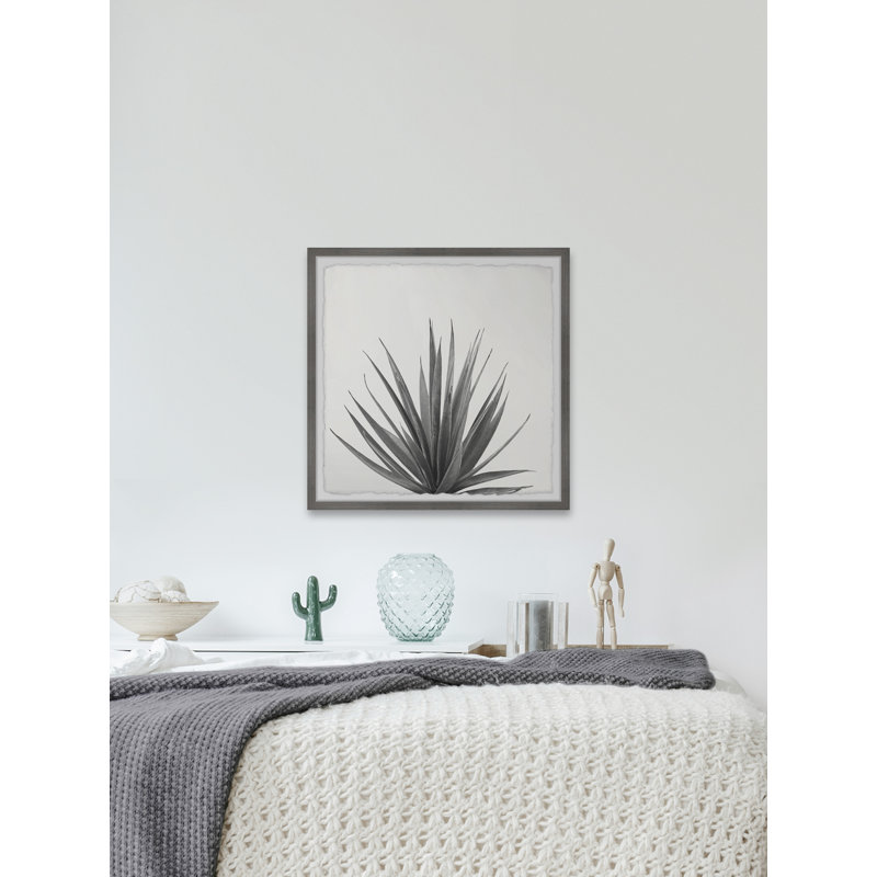 Agave Crown - Single Picture Frame Painting, 41 cm H x 41 cm W