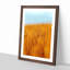 Wheatfield in Germany - Picture Frame Painting Print-56738913-56738916