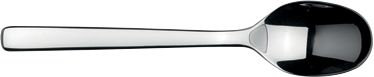 Ovale Stainless Steel Teaspoon