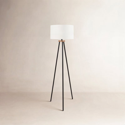 Siti 62" Floor Lamp