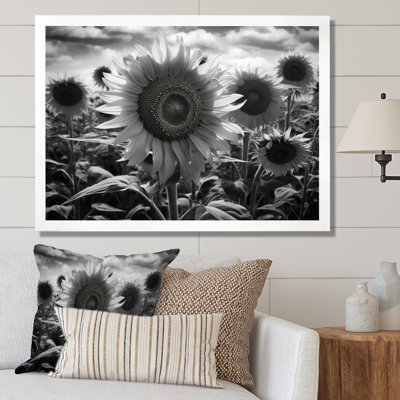 Tournesol noir et blanc I