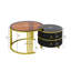 Aveanna Coffee Table with Storage-1732137941-1732137942