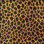 Carreau de mosaïque auto-adhésif en vinyle 6 po x 6 po Leopard