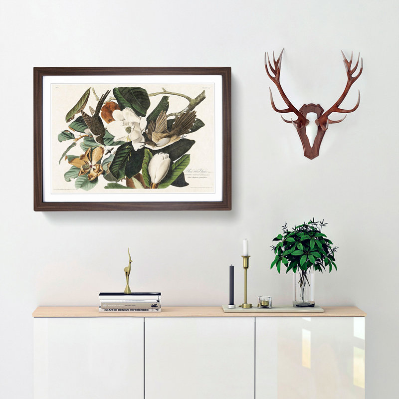 Black-Billed Cuckoo Birds by John James Audubon - Picture Frame Art Print, 36cm H x 48cm W x 2cm D, Walnut Framed