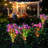 4 Colour Solar Powered Flower Lights Pathway Lamp-98495957