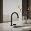 Aquifer4-In-1 Short Arc Beverage Faucet-1316044475