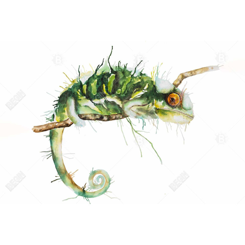 Art caméléon sur le belvédère - Reptile vert | Décoration intérieure