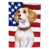 Beagle blanc