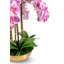 Orchidée dorée Abigail Realtouch-109242014