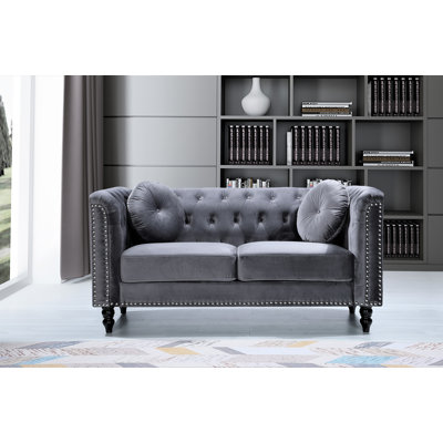 Whetzel 64.17'' Velvet Loveseat