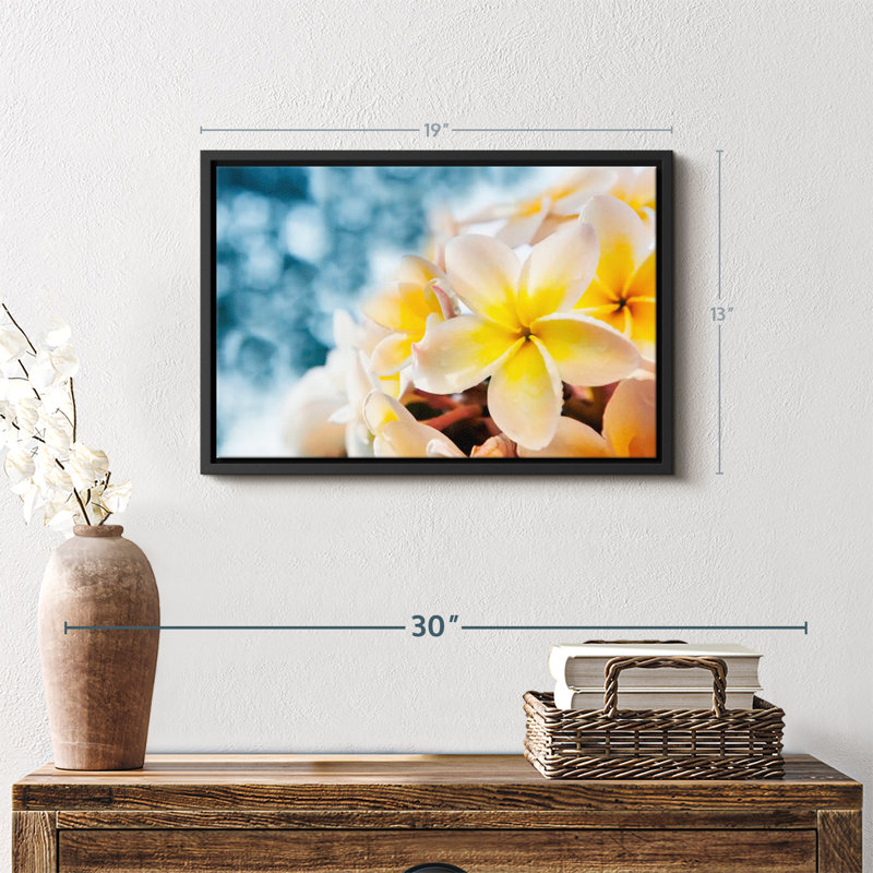Impression sur toile de frangipanier, H 13 po x l 19 po