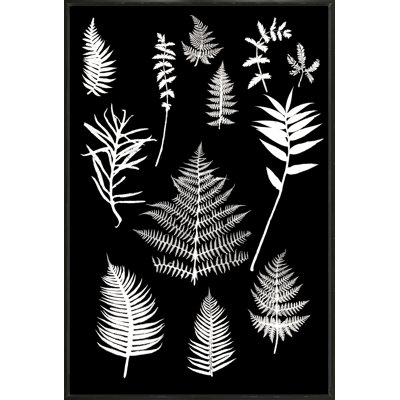 Botanical Collage 1 Print