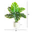 20 po Plante artificielle suisse Monstera